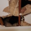 I Need Plasterer Services