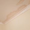 Painter to Fix Water Damage