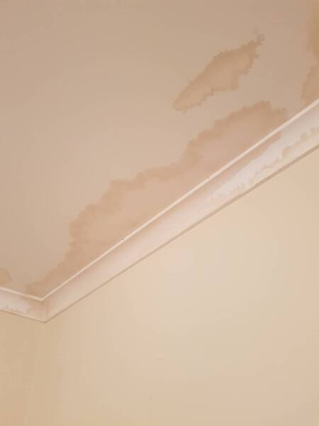 Painter to Fix Water Damage