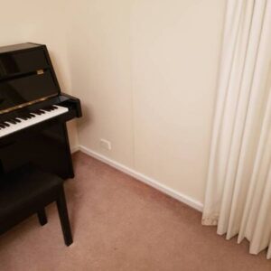 Plasterer/Painter to Fix Water Damage - Image 3