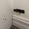 Patch walls from fridge plumbing pipes