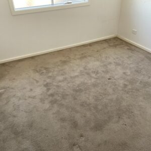 Patching holes and painting and cleaning - Image 5