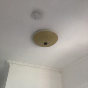 Removal Of Lights and Plaster - No Paint - Image 4