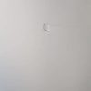 Small Plaster Repair1
