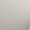 Small Repair of damaged wall1