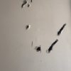 Urgent Plaster and paint 3 holes in walls