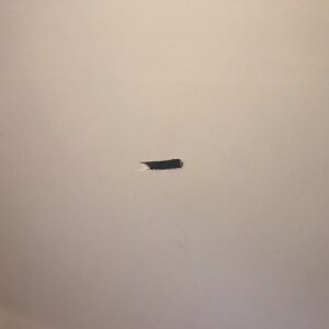 Minor Repair in ceiling - Image 3