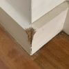 Dog has chewed a corner of skirting board. Required to patch this please.