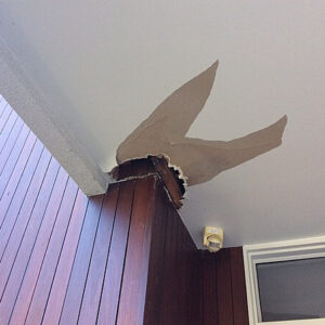 Plaster Small Ceiling Hole (Water damage) - Image 1