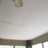 Plaster repair1