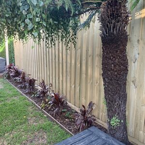 Fence painting with 2 coats in Beaumaris - Image 3