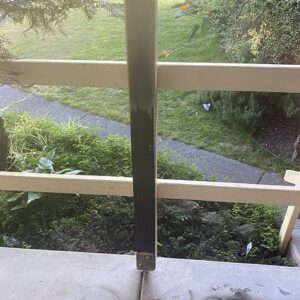 Repaint the fence and cement floor in Endeavour Hills - Image 4