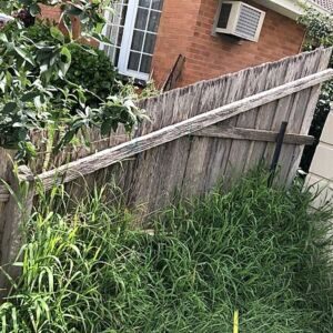 Paint fence and retaining wall in Mount Waverley - Image 3