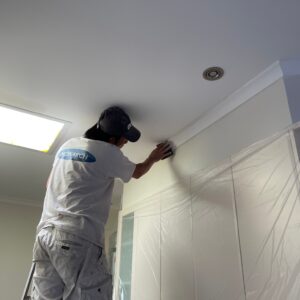 House painting in Coburg - Image 3