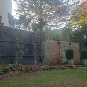 Fence painting in Toorak VIC 3142 - Image 4