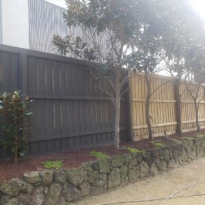 Fence painting in Toorak VIC 3142 - Image 3