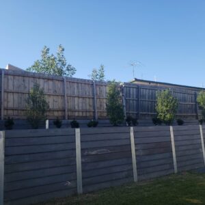 Fence painting in Ivanhoe, VIC, 3079 - Image 3