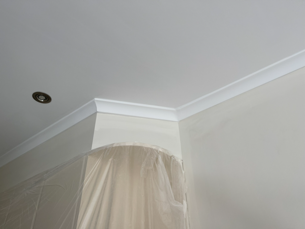 Painters North Melbourne