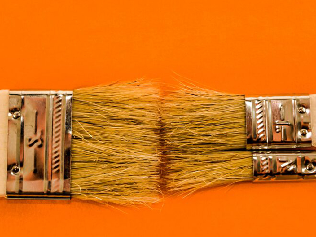 Best Brush for Painting Fence Panels