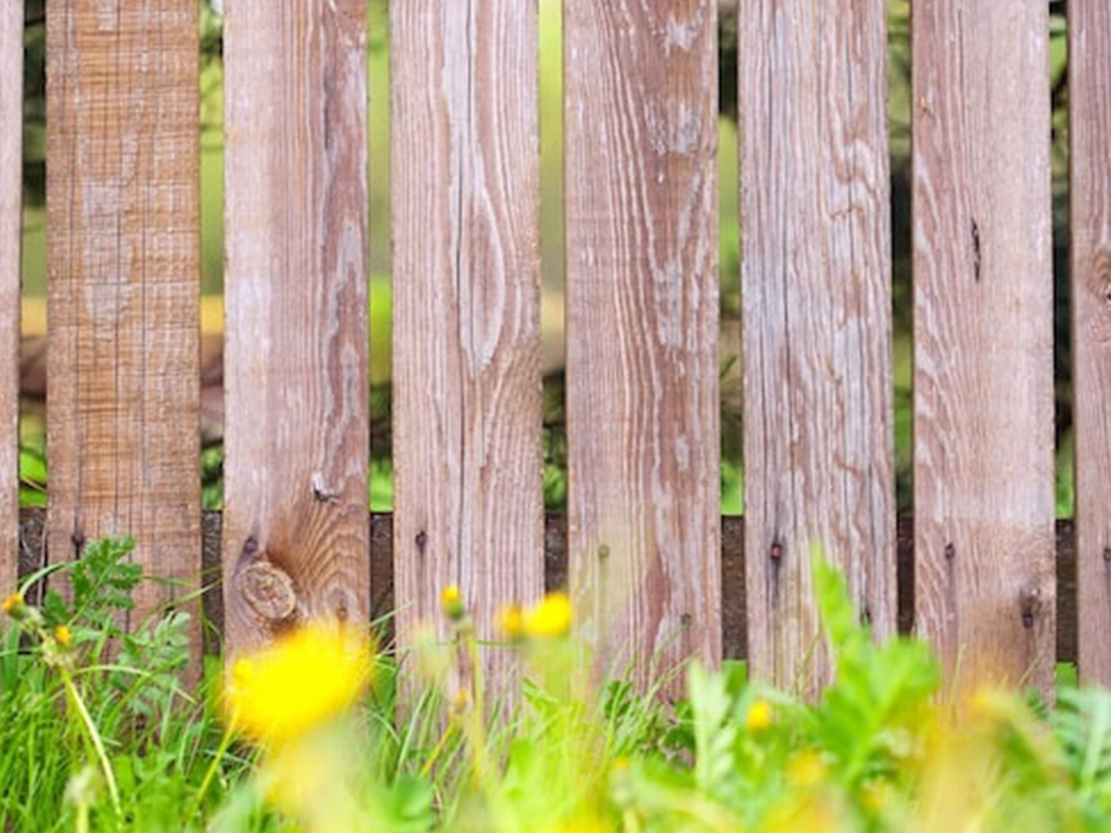 Best Primer for Wooden Fences