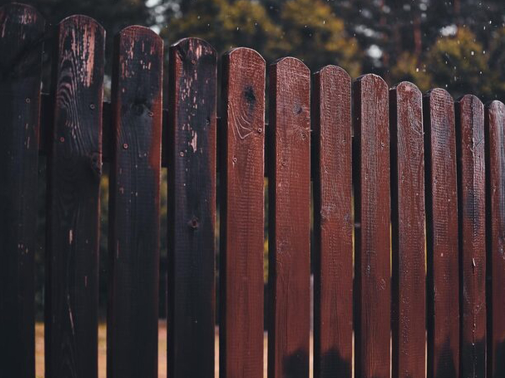 Best Primer for Wooden Fences