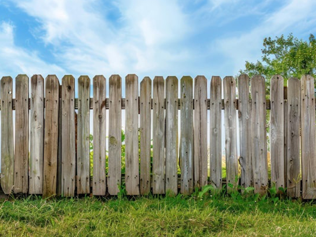 Best Primer for Wooden Fences