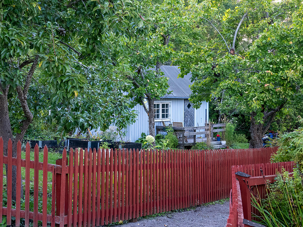 Best time of year to paint a fence
