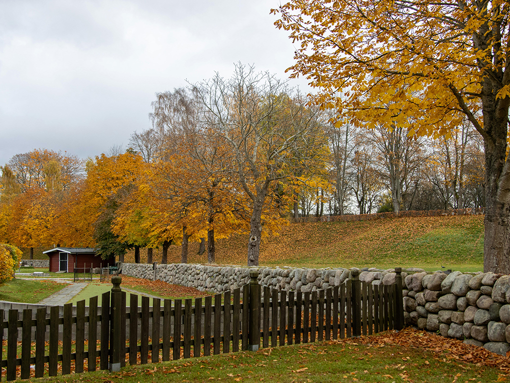 Best time of year to paint a fence