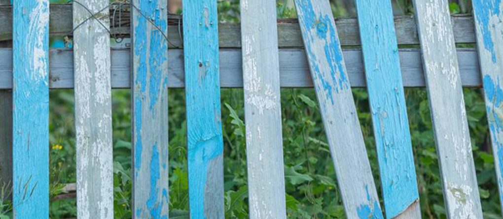 Exterior Wood Paint vs Fence Paint