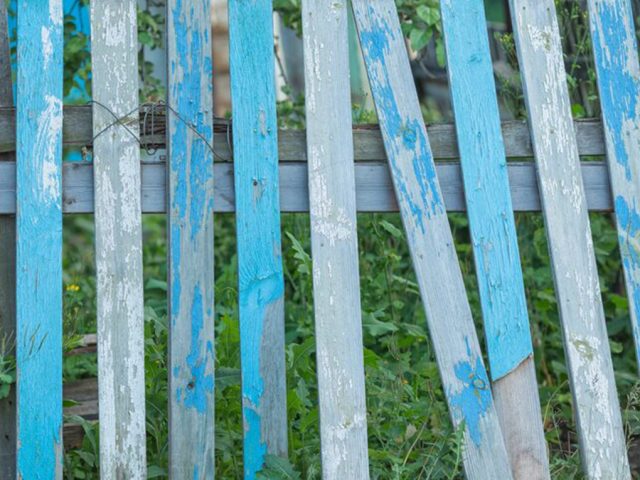 Exterior Wood Paint vs Fence Paint
