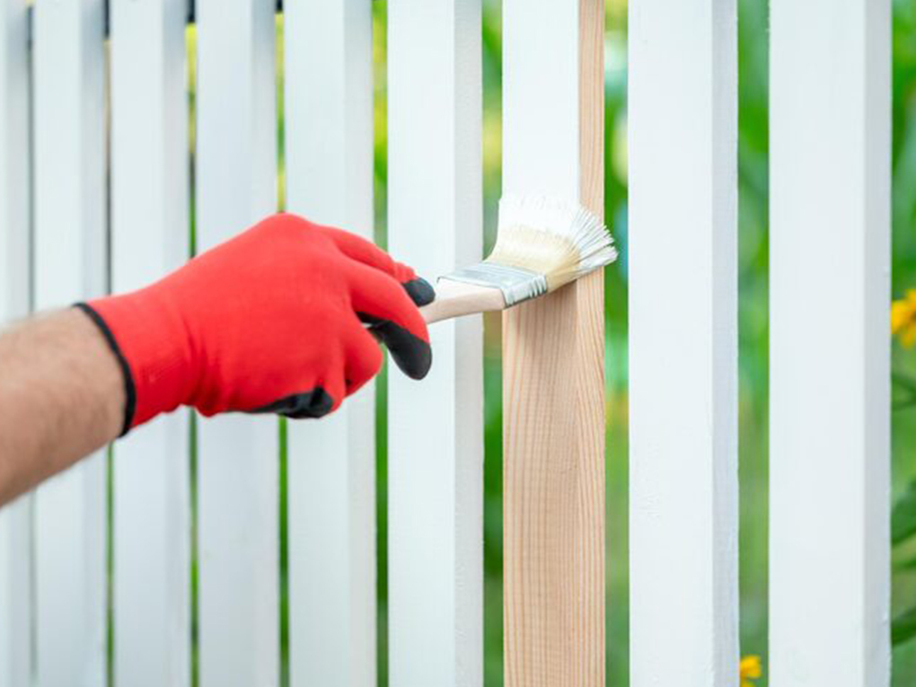Exterior Wood Paint vs Fence Paint