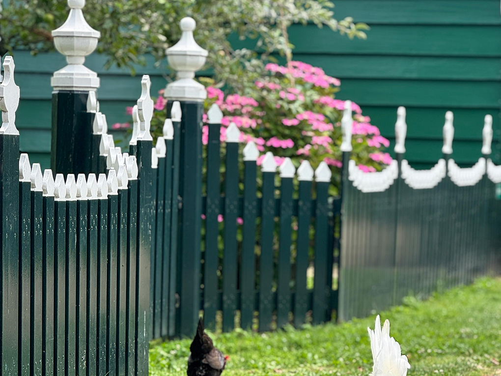 Fence Paint vs Fence Stain