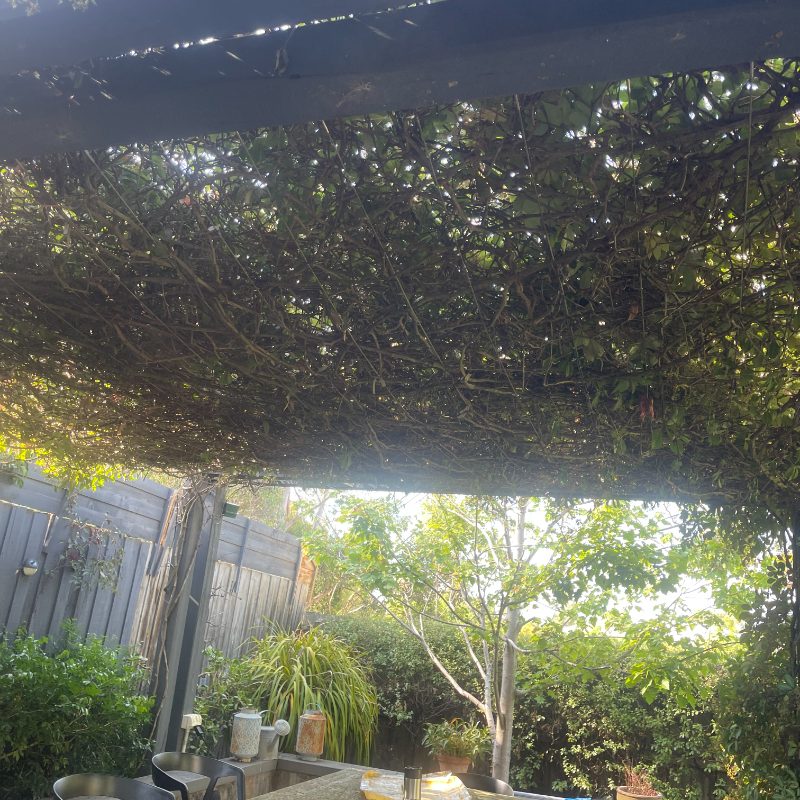 house-painting-st-kilda-product-3