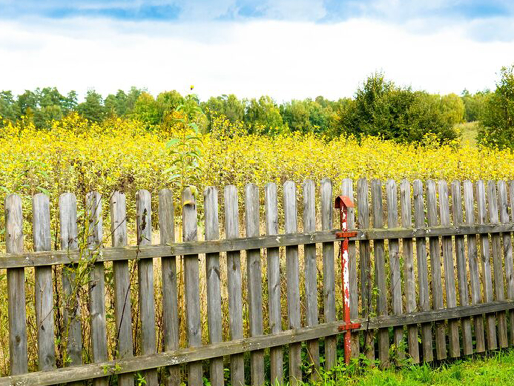 How to remove old fence paint