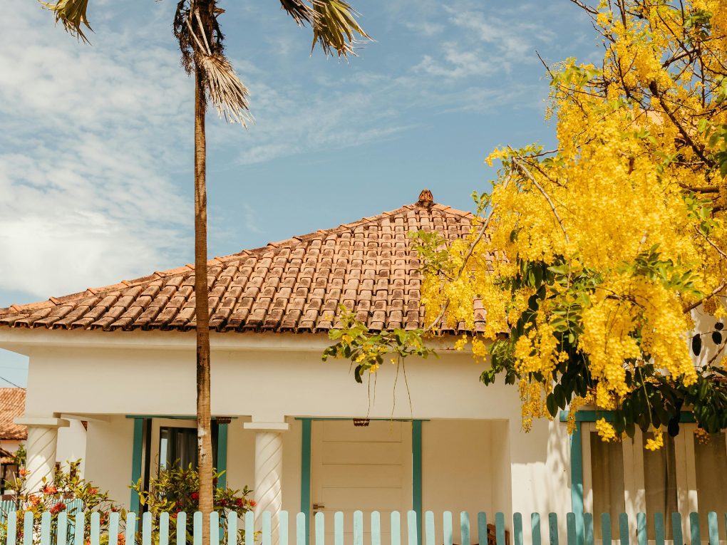 Paint Ideas for Fences