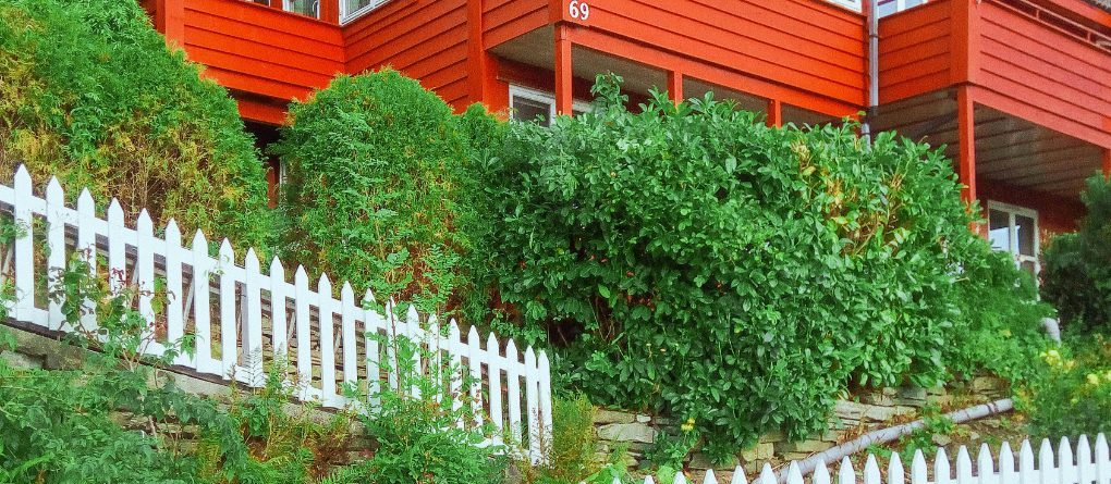 Paint Ideas for Fences