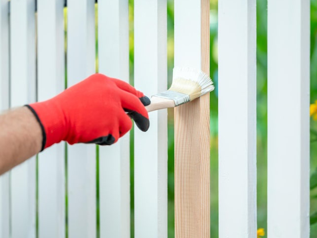 Water Based vs Oil Based Fence Paint