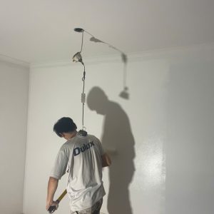House Painting in Chadstone - Image 4