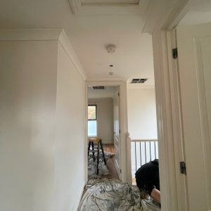 House painting in Carnegie